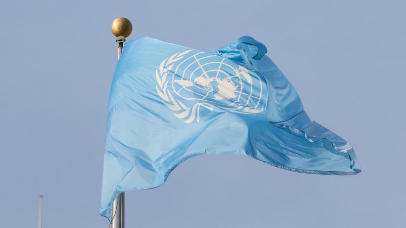 Україна в Організації Об'єднаних Націй вирішила не підтримувати карту світу 